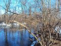 Rockaway river 